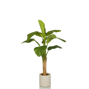 Green Artificial plant BANANE I with large leaves in a simple white pot by hjh OFFICE