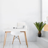 Green artificial plant CYCAS in a black pot next to a white desk by hjh OFFICE