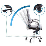 Adjustable backrest and control knob of the Professional Executive Chair PARMA 20 by hjh OFFICE