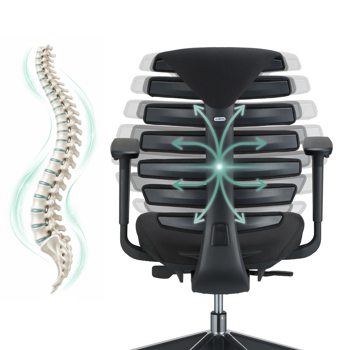 Backrest of the ERGO LINE II professional office chair with a schematic representation of a spine by hjh OFFICE
