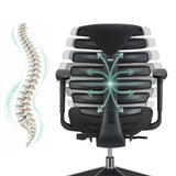 Backrest of the ERGO LINE II professional office chair with a schematic representation of a spine by hjh OFFICE