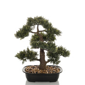 Artificial plant BONSAI in the form of a green bonsai in a black bowl with pebbles by hjh OFFICE