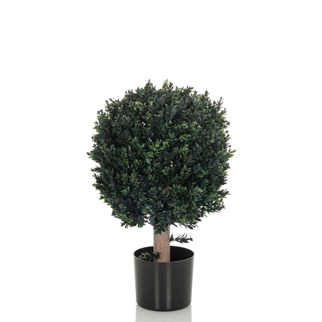 Artificial plant BUXUS in green with a spherical crown in a black pot by hjh OFFICE