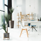 Artificial plant YUCCA in green with a grey pot and wooden stand by hjh OFFICE