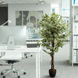 Green artificial plant FICUS in a black pot next to a desk by hjh OFFICE