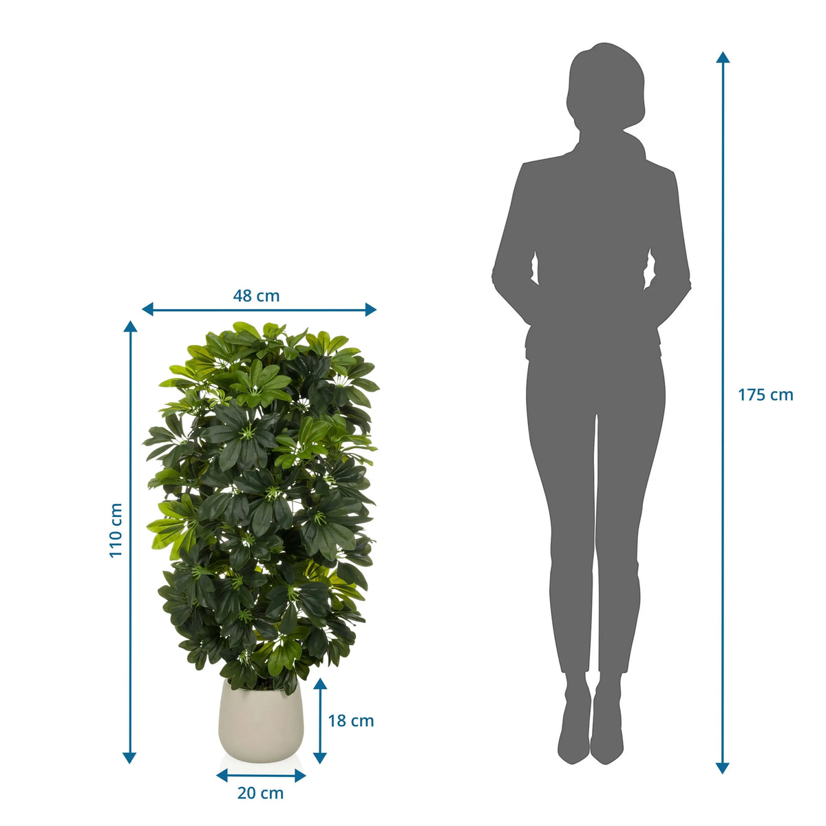Dimensional drawing of the Artificial plant Schefflera 2 with a height of 110 cm and width of 48 cm by hjh OFFICE