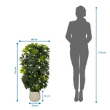 Dimensional drawing of the Artificial plant Schefflera 2 with a height of 110 cm and width of 48 cm by hjh OFFICE