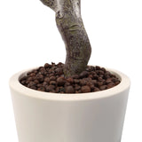 Trunk and white plant pot with expanded clay substrate of the Artificial plant Garcinia by hjh OFFICE