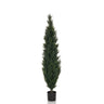 Green Artificial plant CEDRUS in a slender shape with a black plant pot by hjh OFFICE