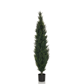 Green Artificial plant CEDRUS in a slender shape with a black plant pot by hjh OFFICE