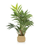 Artificial plant CHAMAEDOREA in green with a woven natural material outer pot by hjh OFFICE