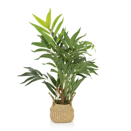 Artificial plant CHAMAEDOREA in green with a woven natural material outer pot by hjh OFFICE