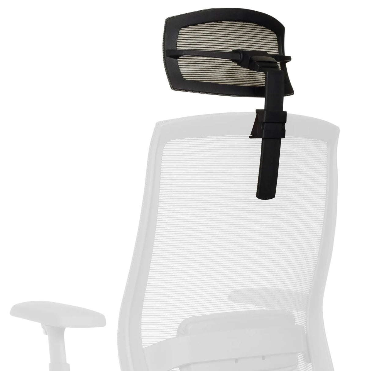COLORE KOPFSTUETZE - Headrest 
