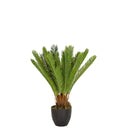 Green Artificial plant CYCAS with fern-like leaves in a black pot by hjh OFFICE
