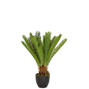 Green Artificial plant CYCAS with fern-like leaves in a black pot by hjh OFFICE