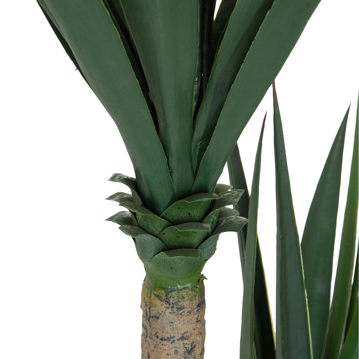 Stem and leaf base of the artificial plant YUCCA in green by hjh OFFICE