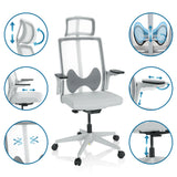 Various adjustment options of the Professional Office Chair ARCEO W in grey by hjh OFFICE