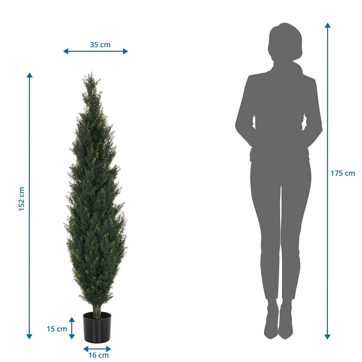 Dimensional drawing of the Artificial plant CEDRUS with a height of 152 cm by hjh OFFICE