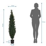 Dimensional drawing of the Artificial plant CEDRUS with a height of 152 cm by hjh OFFICE