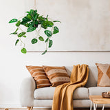 Green Artificial plant MONSTERA CLIMB as a hanging plant against a light wall by hjh OFFICE