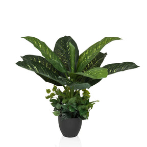 Green Artificial plant DIEFFENBACHIA with large leaves in a black pot by hjh OFFICE
