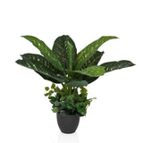 DIEFFENBACHIA - Artificial plant 