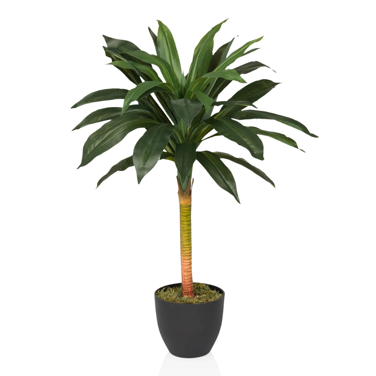 DRACAENA I - Artificial plant 