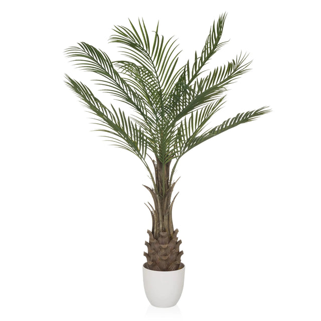 Green Artificial plant DRACAENA with fan-like palm leaves in a white pot by hjh OFFICE