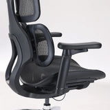 Lumbar support and armrest of the Professional Office Chair S100-M301 in black by Sihoo