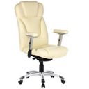 EMBASSY 200 - Professional Executive Chair 