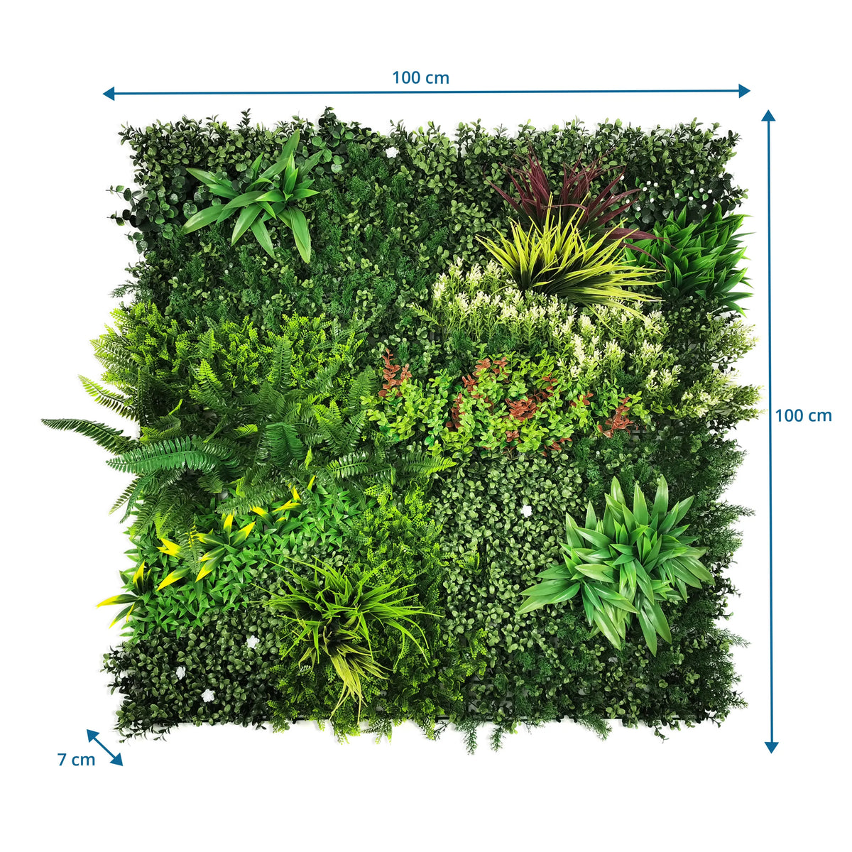 Dimensional drawing of the Plant mat LEAFLUXE 3D with 100 × 100 × 7 cm by hjh LIVING