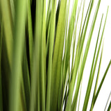 Green leaves of the artificial plant CORTADERIA by hjh OFFICE