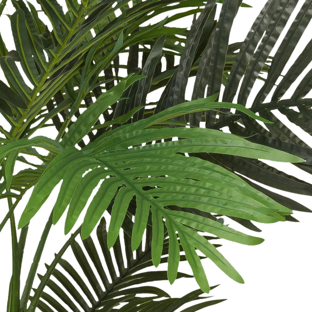 Green leaves of the artificial plant ARECA II by hjh OFFICE