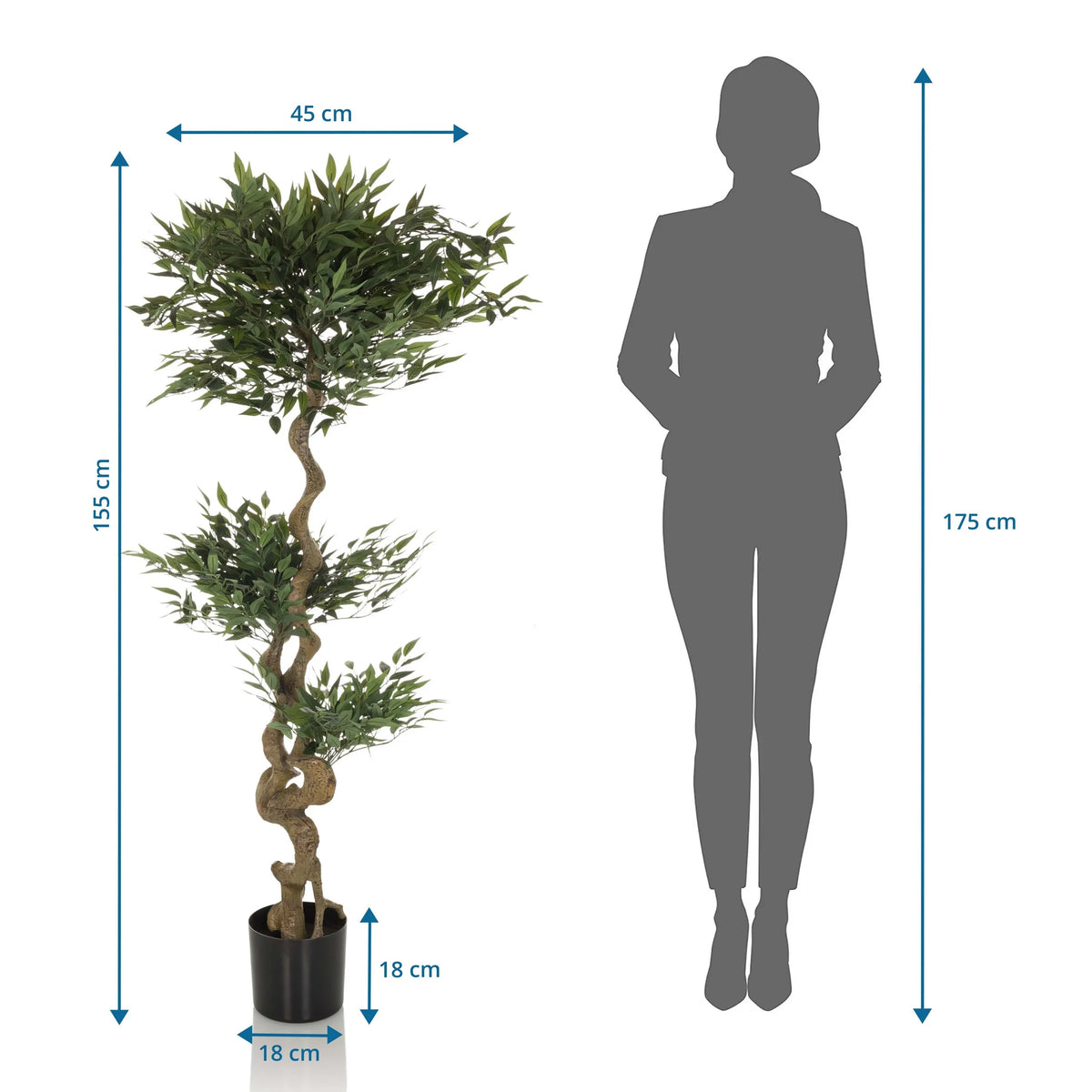 Dimensional drawing of the Artificial plant ACACIA with a height of 155 cm by hjh OFFICE