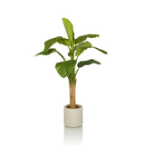 Green Artificial plant BANANE I with large leaves in a beige pot by hjh OFFICE – 360-degree view (front view 0°)
