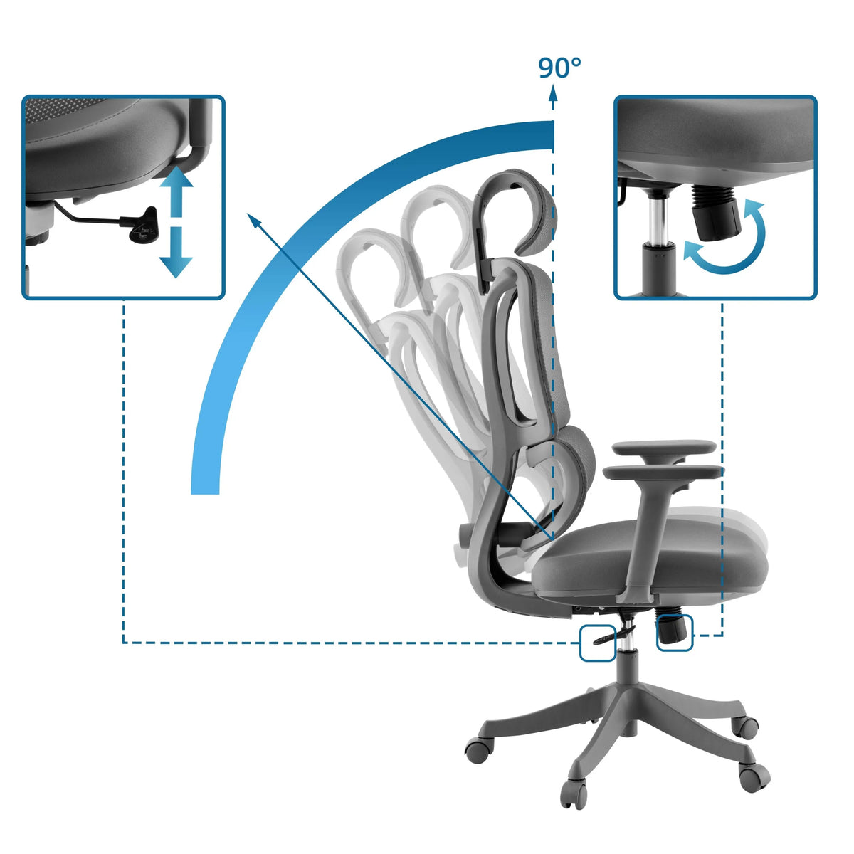 Adjustable backrest with 90 degree recline and height adjustment of the Home Office Chair Ergomy Colore by MyBuero