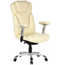 EMBASSY 200 - Professional Executive Chair 