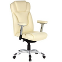 EMBASSY 200 - Profi Chefsessel - buerostuhl24