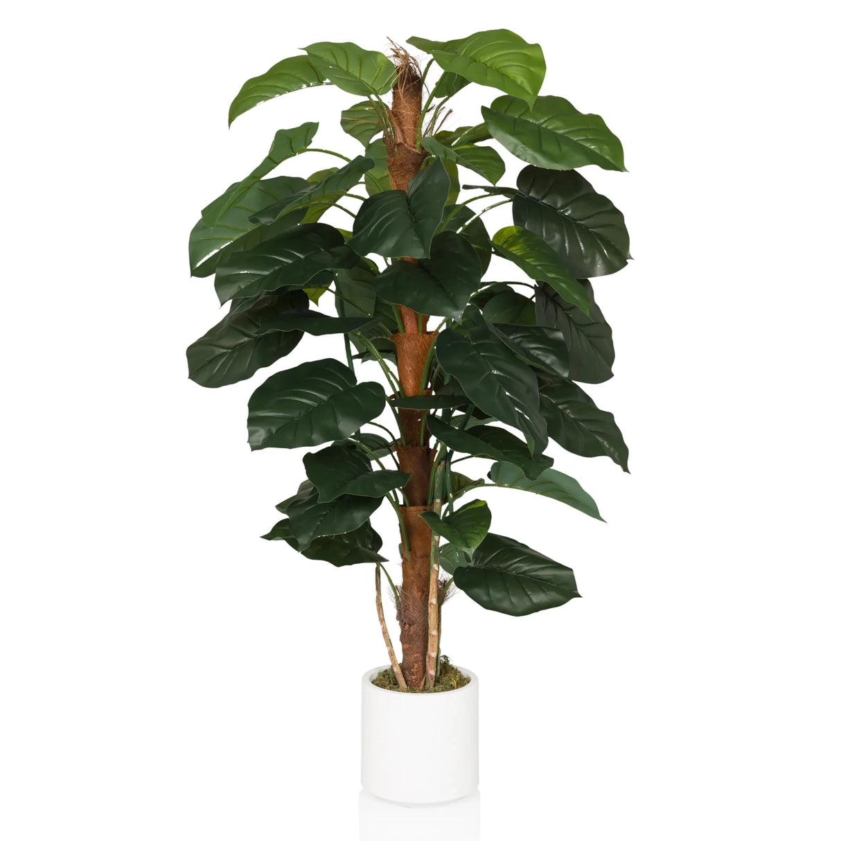 EPIPREMNUM - Artificial plant 
