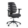 Black Professional Office Chair ERGO LINE II with segmented backrest and armrests by hjh OFFICE