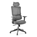 Ergomy Colore | Fabric / 3D Mesh | Frame: Colourful - Home Office Chair 