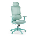 Ergomy Colore | Fabric / 3D Mesh | Frame: Colourful - Home Office Chair 