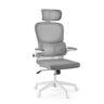 Grey Home Office Chair ERGOMY FLEX with mesh backrest, headrest and white frame by MyBuero