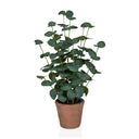 Artificial plant Eucalyptus in green with round leaves in a brown clay pot by hjh OFFICE