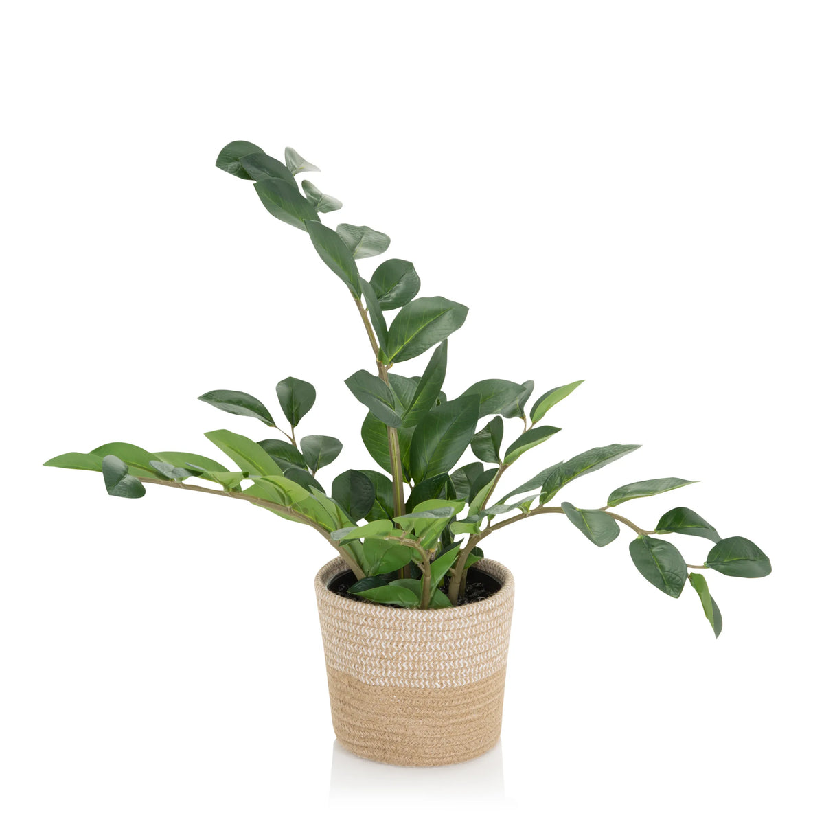 Green Artificial plant ZAMIE in a light brown woven pot by hjh OFFICE – 360-degree view (side profile 90°)