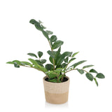 Green Artificial plant ZAMIE in a light brown woven pot by hjh OFFICE – 360-degree view (side profile 90°)