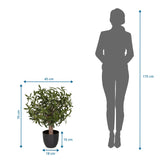 Maßansicht der Kunstpflanze Olive S mit einer Höhe von 70 cm und Breite von 45 cm von hjh OFFICE