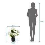 Dimensional drawing of the Artificial plant HYDRANGEA with a height of 52 cm and width of 30 cm by hjh OFFICE