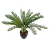 Artificial plant CYCAS in green with a black pot by hjh OFFICE