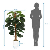 Dimensional drawing of the Artificial plant EPIPREMNUM with a height of 155 cm and width of 67 cm by hjh OFFICE
